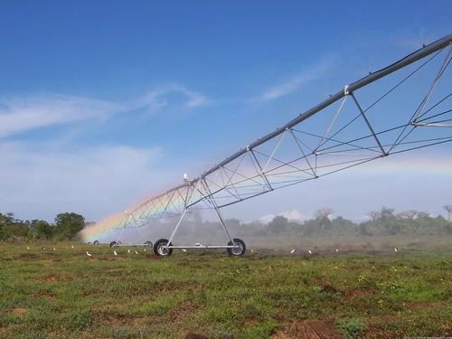 進(jìn)城買房補(bǔ)5萬與征地補(bǔ)償政策下的機(jī)遇與挑戰(zhàn)